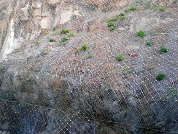 GPS2（常用型主动防护网）