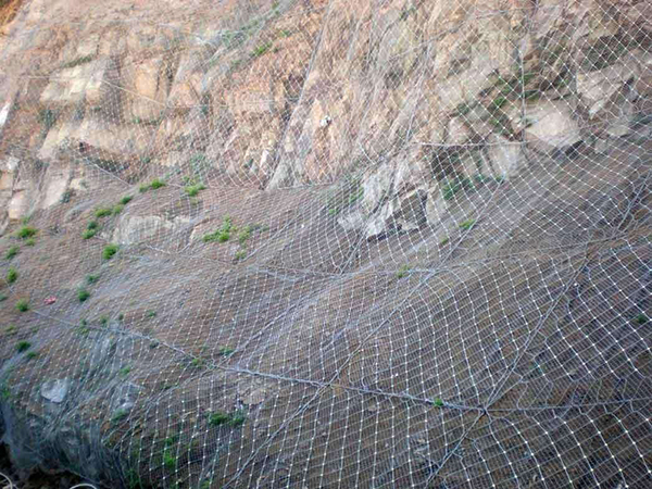 GAR2型主动防护网图片2