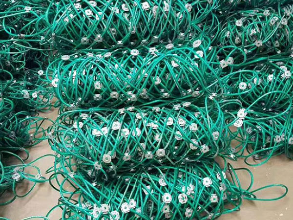 GNS2包塑主动防护网图片4