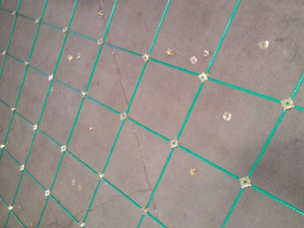 GNS2包塑主动防护网图片2