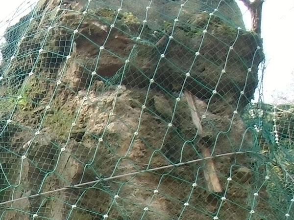 GNS2包塑主动防护网