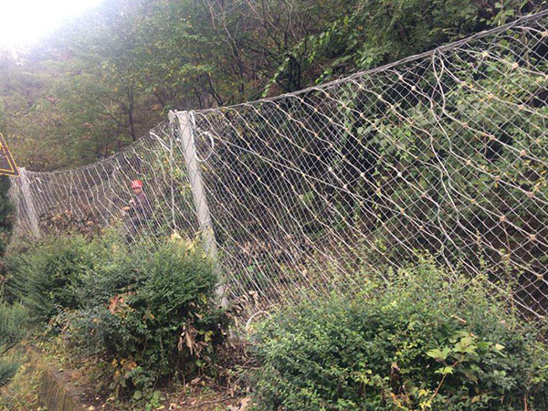 RX-025被动防护网(菱形)图片2