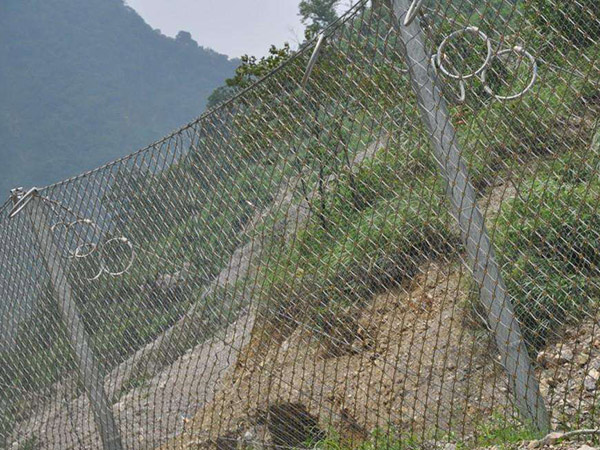 RX-050被动防护网(菱形)图片2