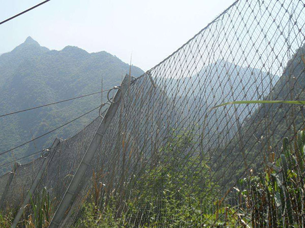 RX-050被动防护网(菱形)图片3