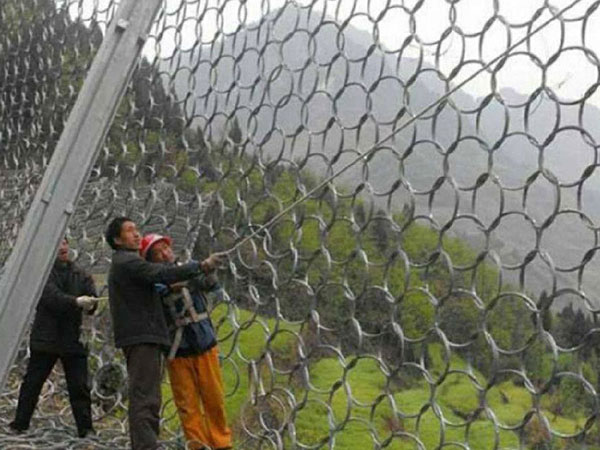 RXI-050被动防护网(环形)图片2